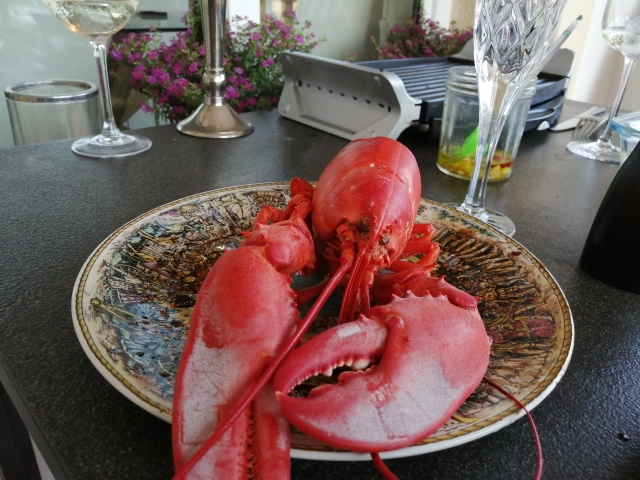 IMG_20191025_182216.jpg