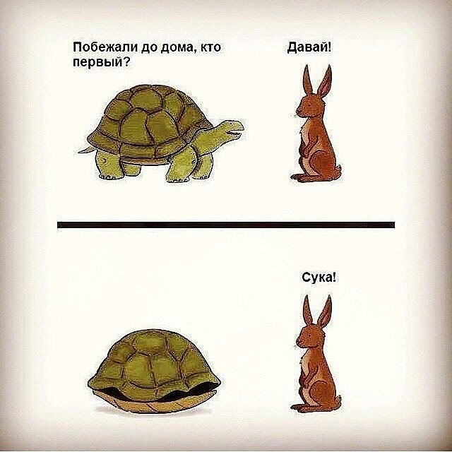 B5qKpdtYVaI.jpg
