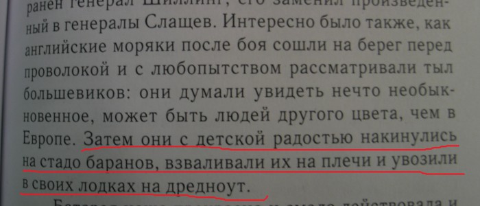 06.jpg