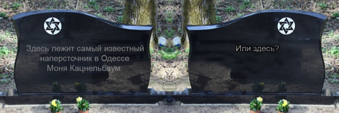 05.jpg