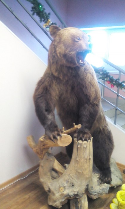 IMG_20200118_162657.jpg