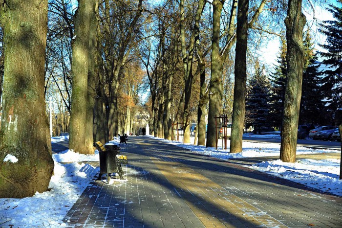 05.JPG