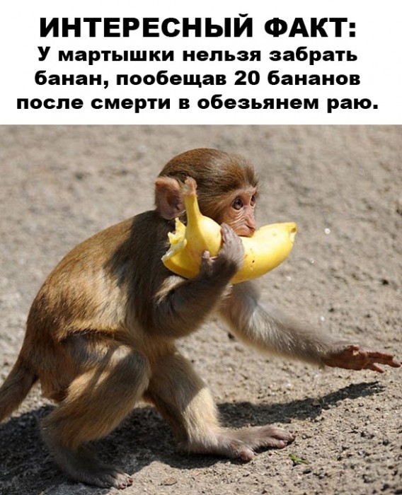AIi572pbLZ8.jpg