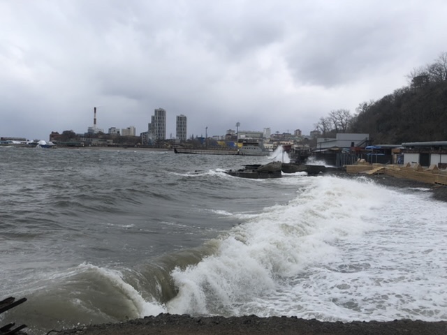 A0F2018D-F966-4E26-B7BE-FD63F991D55D.jpeg
