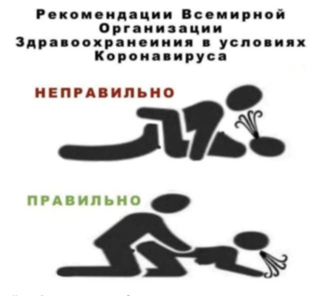 27063310_20713.jpg