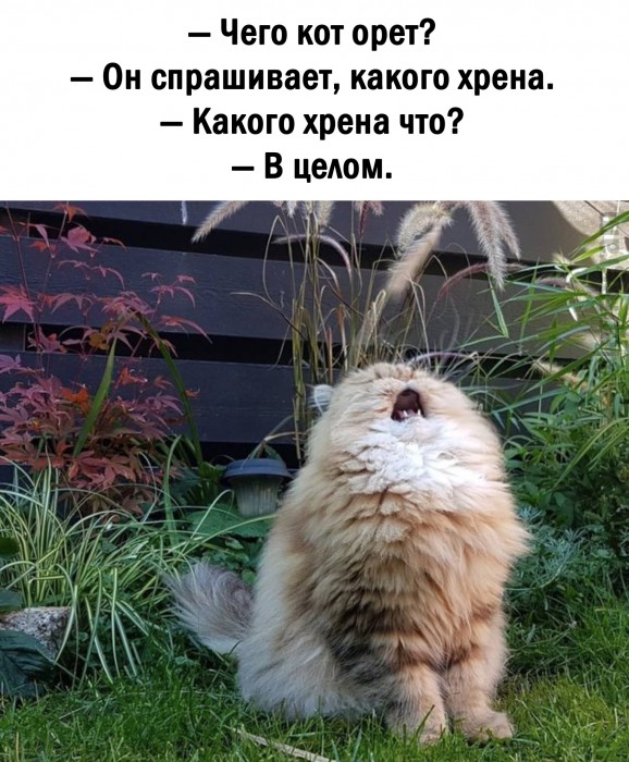 qmw_BDMnnfQ.jpg