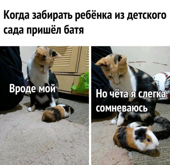 IMG-becab6cb4ab977465e4071e97791e47b-V.jpg