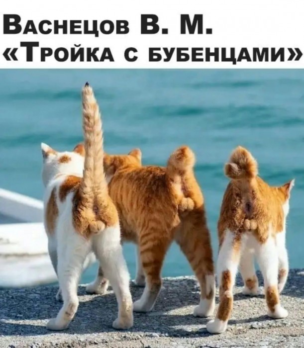 IMG-905ee7387e4751bde2bc10e170dc1cf4-V.jpg