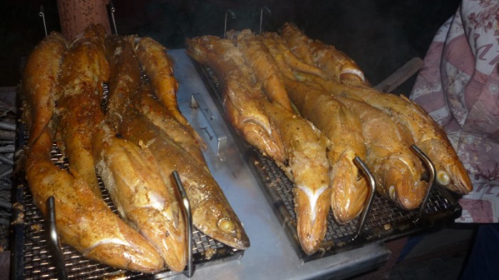 fish_5.jpg
