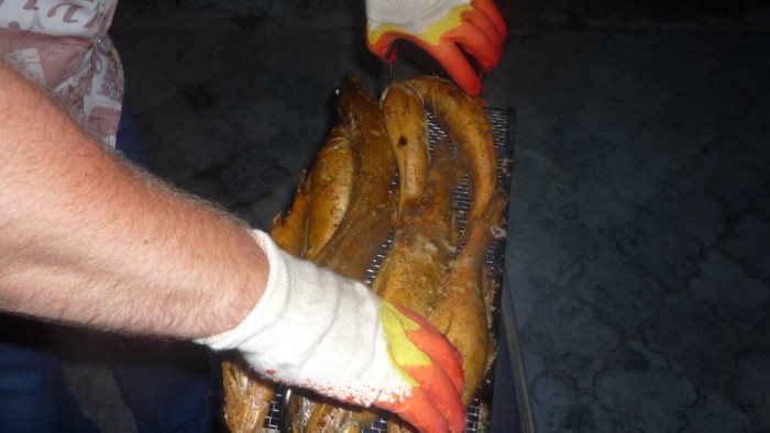 fish_4.jpg