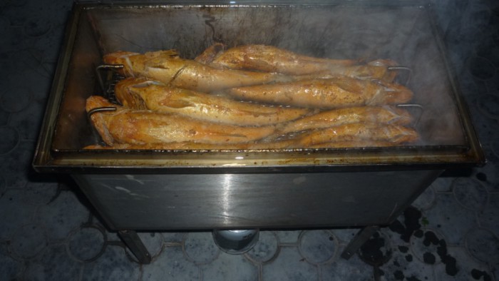 fish_3.jpg