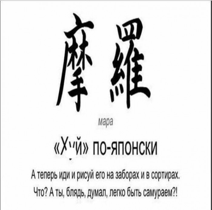 IMG-1f54ddf11e1ce1e79cfe0df006f0961c-V.jpg