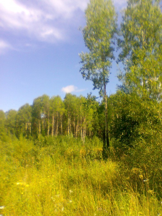 Фото000.jpg