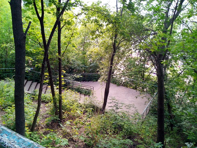 IMG_20200721_181454.jpg