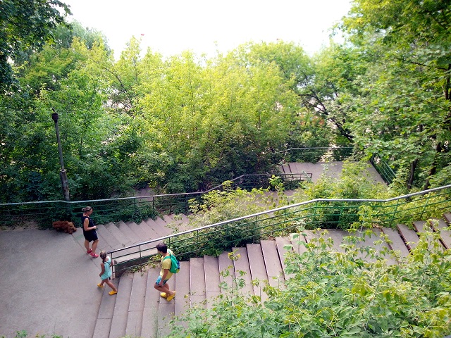 IMG_20200721_181521.jpg
