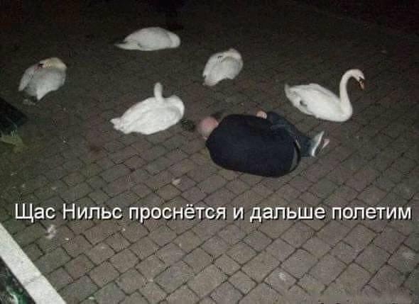 IMG-0388417cba955ab960bd8980e6fefd38-V.jpg