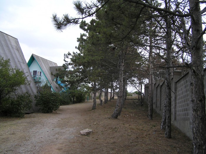 P8183774.JPG