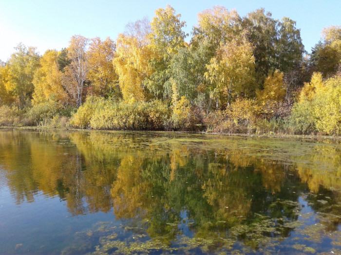20200927_144732.jpg