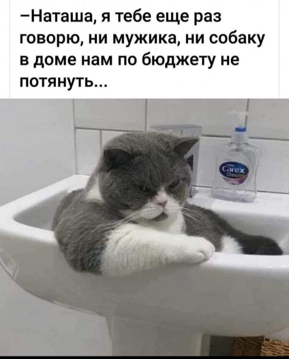 IMG-0d812be3ce388dc242f1e0aa1196cea7-V.jpg