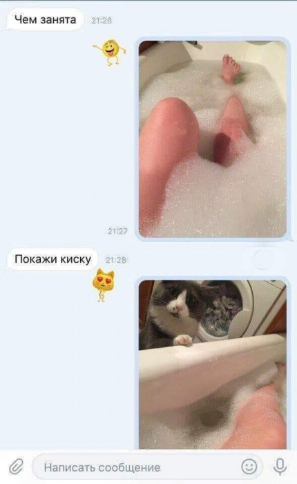 IMG-4934a5452edf1c303949fcd2ee6bc1e1-V.jpg