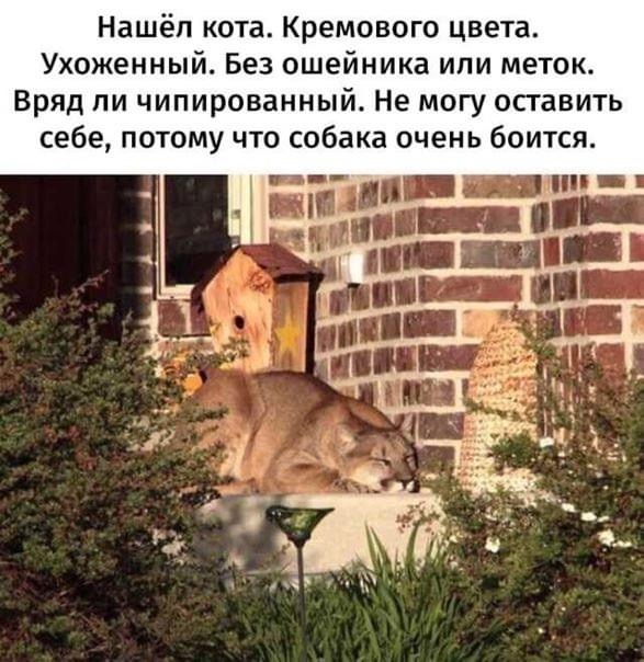 IMG-81bf79848ae6230e77f7995ea2d0bace-V.jpg