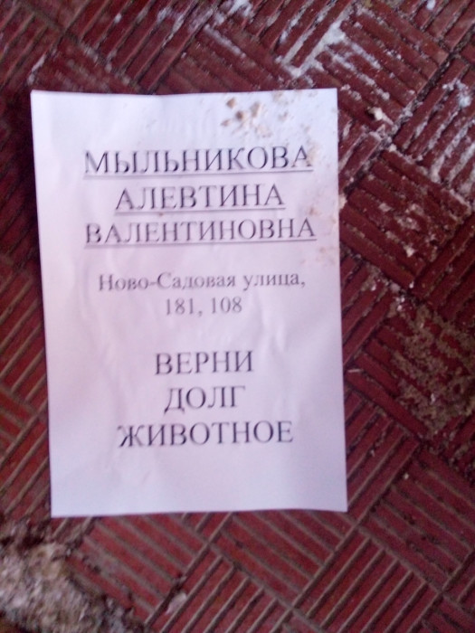 IMG_20201202_102403.jpg
