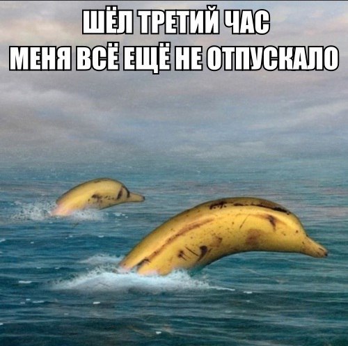 shel-tretij-chas-menya-vse-esshe-ne-otpuskalo-list.jpg