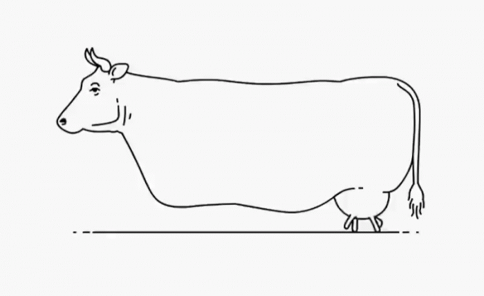 f6889ad6a8c0429bcd58da829a978aee.gif