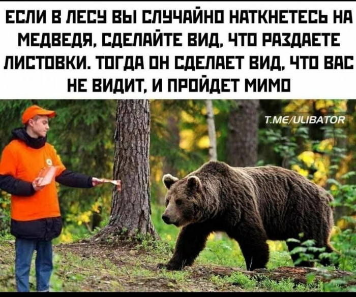 IMG-458220bcbf0015bf791022bb4e08f2bd-V.jpg