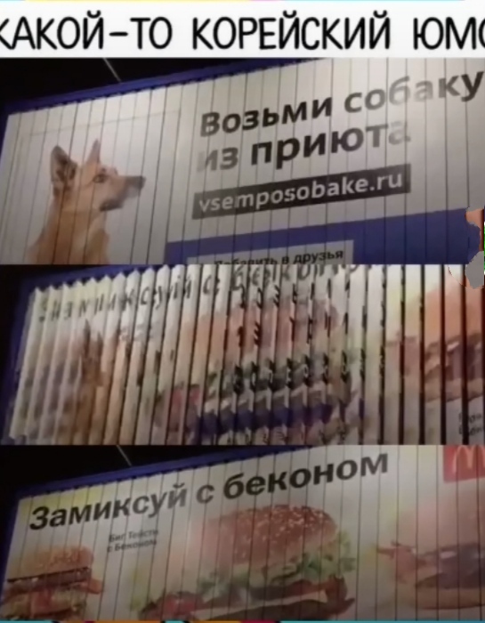 IMG-a3e08d32028326b95a43ac59fd6abc3a-V.jpg