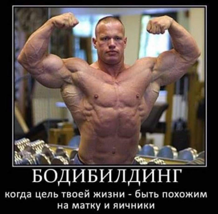 IMG-9303e010c7dadcbd6287083d66a46f89-V.jpg