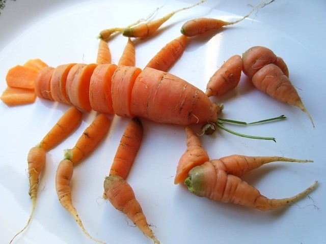 04.jpg