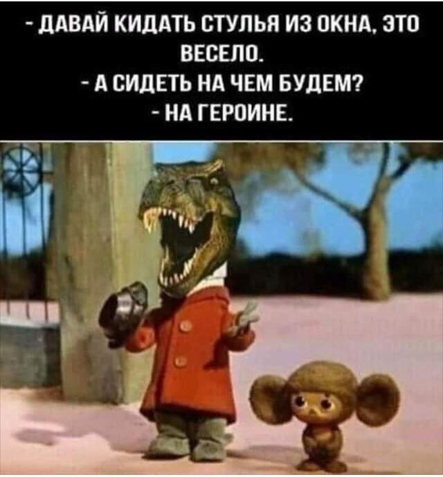 15268048.jpg