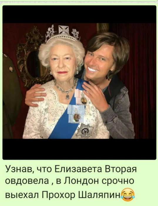 15474570.jpg