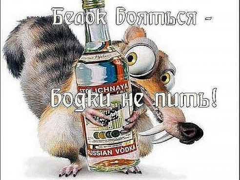 image.jpeg