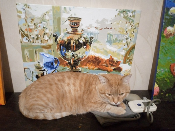 Кот с картиной.jpg