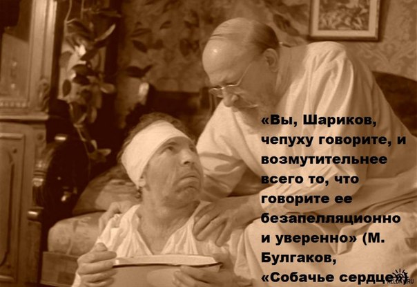 чепуха.jpg