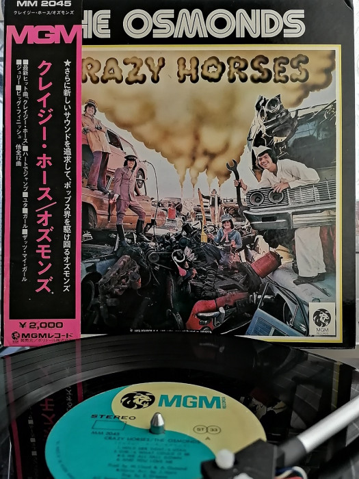 OSMONDS -CRAZY HORSES 1972 (2).jpg