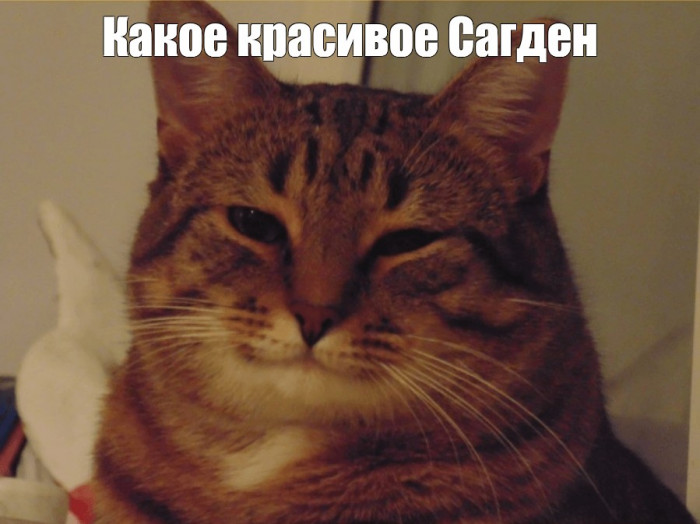 1de74625931a05b85356c6ba30138213.jpg