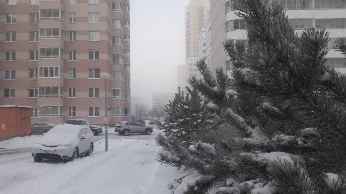 20231208_091257.jpg