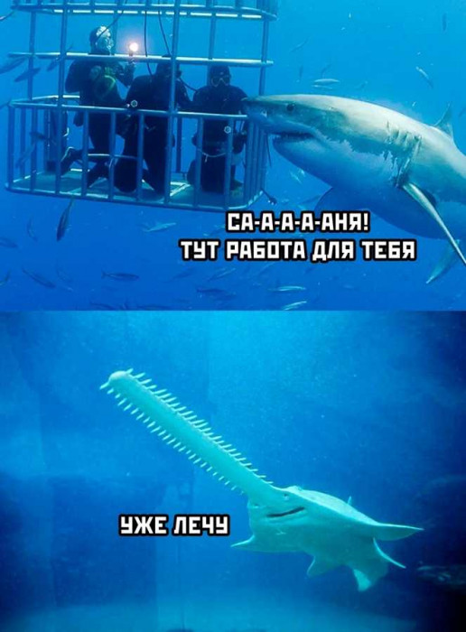 1713716002792.jpg