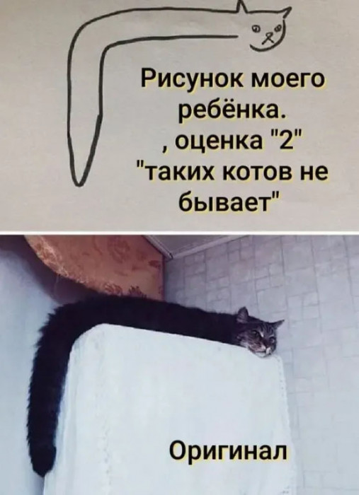 02_06.jpg