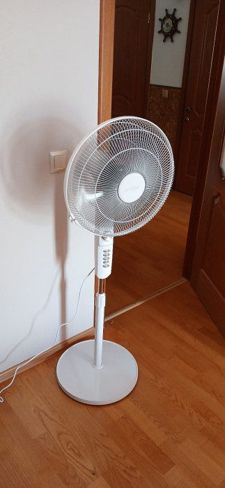 20240705_173017.jpg