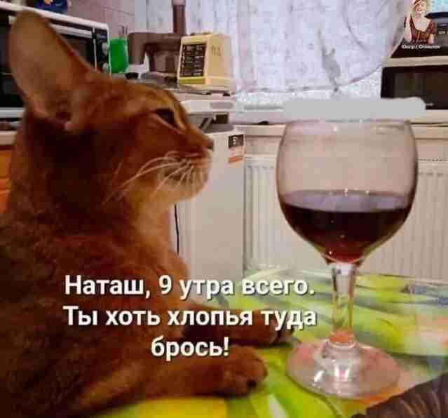 crhsp74igdghr7q00c6g.jpeg