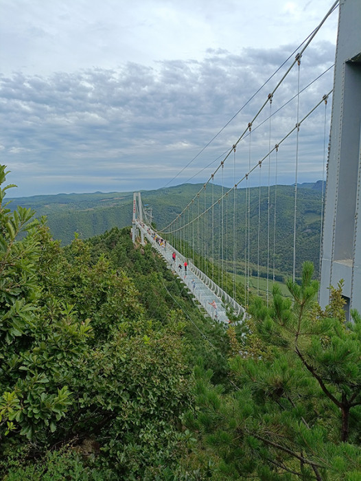 IMG_20240907_144251.jpg