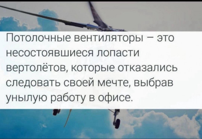 crhvujcigdghr7q00d2g.jpeg
