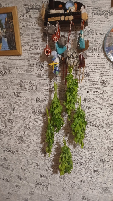 20240925_202222.jpg