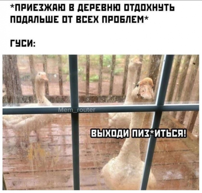 crrq3psigdgqneq1gbeg.png