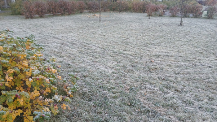 20241003_074023.jpg