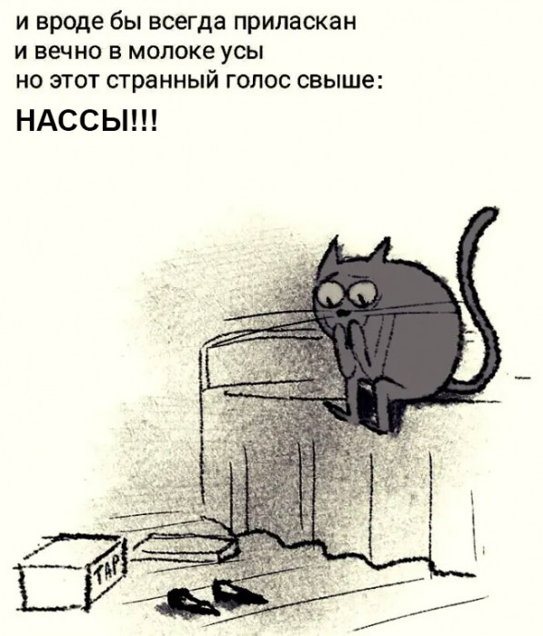 01_10.jpg